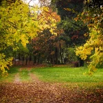 Il Bosco del Parco di Villa Meli Lupi