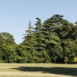 Villa Meli Lupi di Soragna Tarasconi