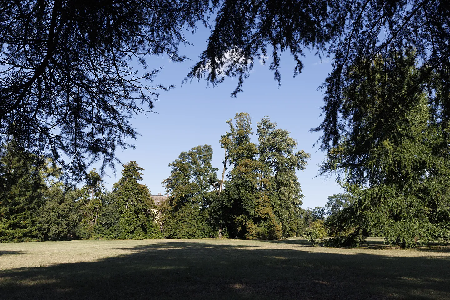 Villa Meli Lupi di Soragna Tarasconi